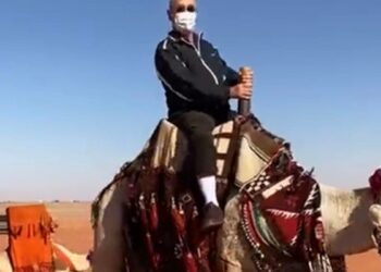 سفير اليابان بالسعودية راكبا الجمل: أخوض التجربة لأول مرة