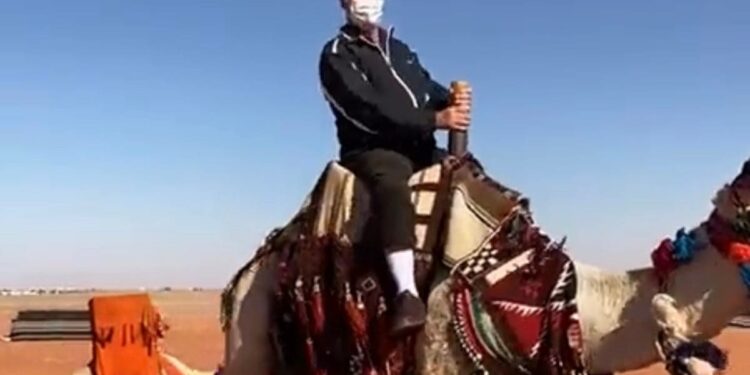 سفير اليابان بالسعودية راكبا الجمل: أخوض التجربة لأول مرة