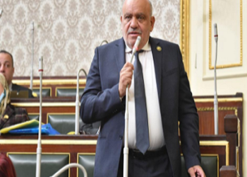 برلماني عن منتدى شباب العالم: الدولة قادرة على تحدى الصعاب