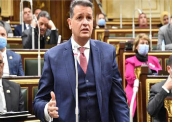 ما دلالات قول الرئيس السيسي «أوعوا حد يدخل بينا».. رئيس لجنة حقوق الإنسان بالنواب يجيب