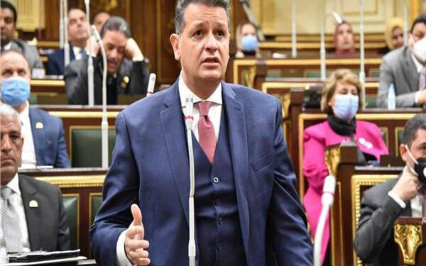 ما دلالات قول الرئيس السيسي «أوعوا حد يدخل بينا».. رئيس لجنة حقوق الإنسان بالنواب يجيب