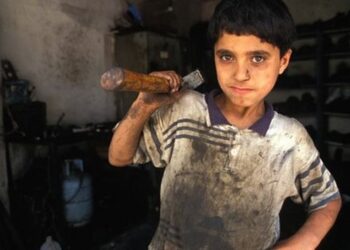 رسميًا.. مجلس الشيوخ يحظر عمالة الأطفال قبل بلوغهم الـ 15 عامًا