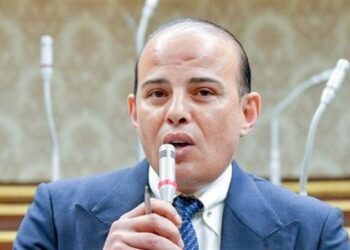 برلماني: الدولة المصرية تهدف لتنشئة أجيال جديدة بفكر استثمارى