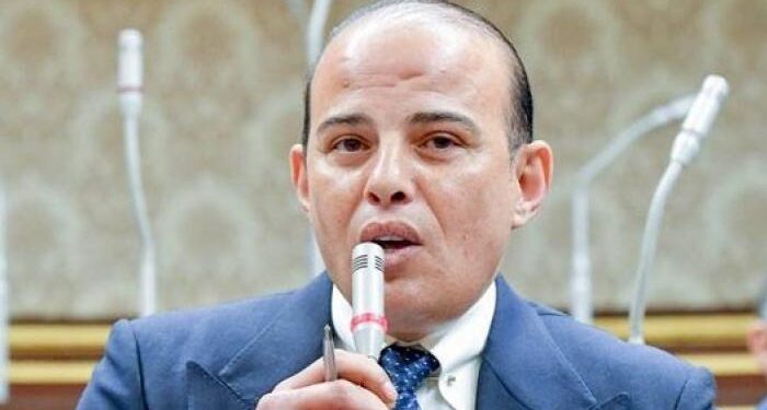 برلماني: الدولة المصرية تهدف لتنشئة أجيال جديدة بفكر استثمارى