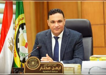 بإجمالي 4.5 مليون جنيه.. تنفيذ 379 مشروع من صندوق التنمية المحلية بالدقهلية