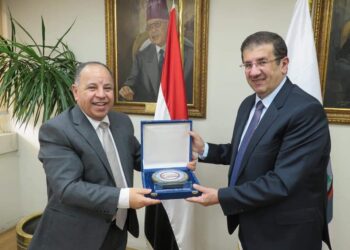 المالية: البطالة تراجعت إلى 7.4% وحققنا نموًا  لم نُحققه منذ 20 عامًا بنسبة 9%