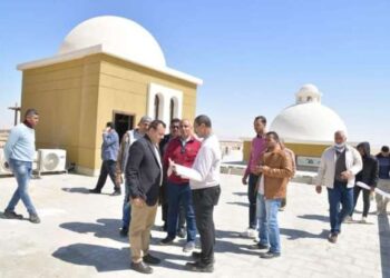 رئيس جامعة الوادي الجديد: زراعة ٣٠٠ نخلة تنتج أغلى أنواع التمور