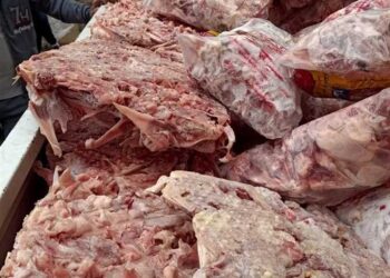 ضبط 6 أطنان لحوم مجمدة فاسدة بكفر الشيخ