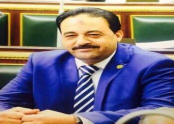 النائب أحمد إسماعيل: قضية الزيادة السكانية تركة ثقيلة ووضع لم يعد يتحمل الإخفاق