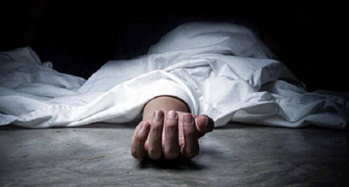  مصرع شخص صدمته سيارة سرعة بالدقهلية