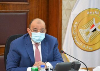شعراوي: تطوير مشروعات بالريف المصري لدعم مبادرة حياة كريمة