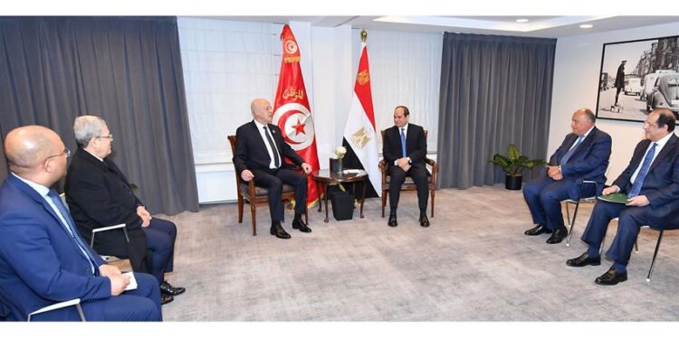 الرئيس السيسي يؤكد على العلاقات الراسخة بين مصر وتونس لتعزيز الإستقرار