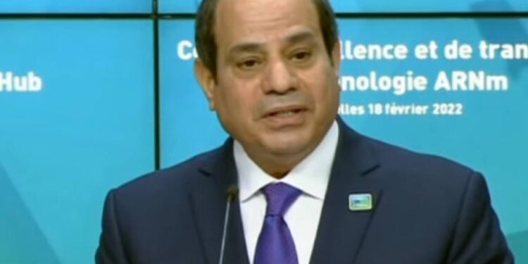 الرئيس السيسي يؤكد على ضرورة دعم الدول الإفريقية فى المجال الصحي