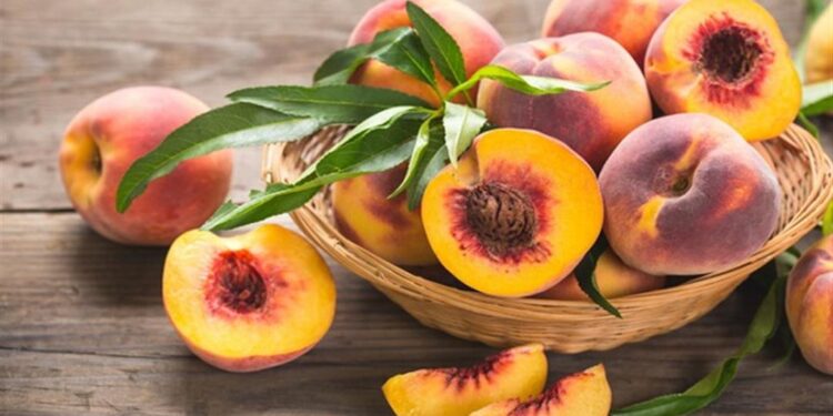 يرطب البشرة ويحمي من نزلات البرد.. و6 آخرين لفوائد الخوخ