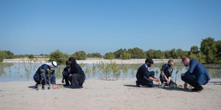 الأمير وليام يزرع شجرة بمحمية القرم خلال زيارته الحالية للإمارات