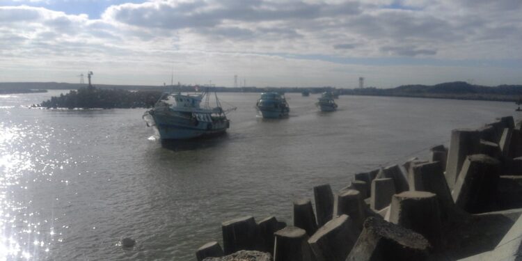 انطلاق مراكب الصيد من ميناء البرلس بعد استقرار حالة الطقس