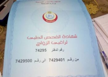 تأهيل نفسي واجتماعي.. ننشر مواد قانون الفحص الطبي الشامل قبل الزواج بعد حديث الرئيس