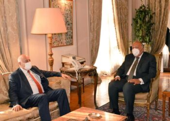 وزير الخارجية مصر تساند الجهود الفلسطينية الرامية إلى تعزيز الوضع الفلسطيني