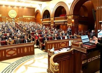 مجلس الشيوخ يوافق إحالة مناقشات تعميق النصنيع المحلي للجان لدراستها