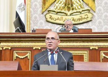 وزير الري لـ عضو مجلس النواب: «أنا من السيدة زينب»