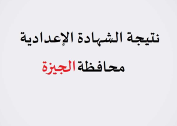 محافظ الجيزة يعتمد نتيجة الترم الأول الشهادة الإعدادية بعد قليل
