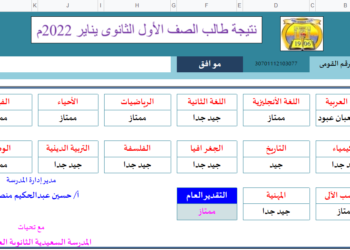 (من هنـــــــــا).. رابط الاستعلام عن نتيجة أولى ثانوى لطلاب مدرسة السعيدية الثانوية
