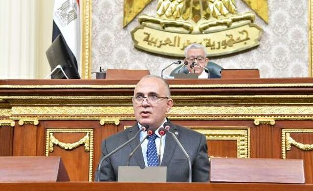وزير الري لـ عضو مجلس النواب: «أنا من السيدة زينب»