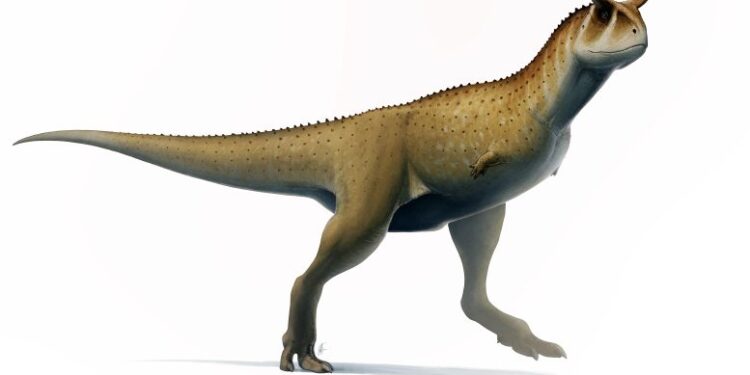 اكتشاف أنواع غريبة من الديناصورات الجديدة في الأرجنتين