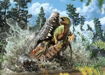 اكتشاف تمساح “قاتل” عمره 93 مليون عام مع ديناصور صغير في معدته