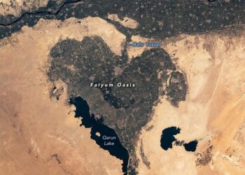 واحة على شكل قلب في مصر تدعم حياة الإنسان منذ أكثر من 8000 عام