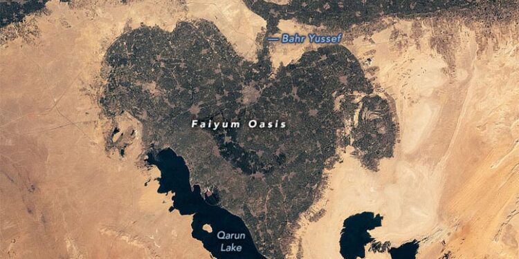 واحة على شكل قلب في مصر تدعم حياة الإنسان منذ أكثر من 8000 عام