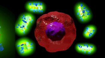 تطوير أول نظام في العالم لتوصيل الأدوية بالأجسام المضادة باستخدام بلورات فائقة الشحن