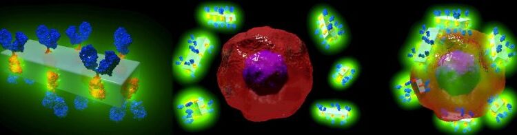 تطوير أول نظام في العالم لتوصيل الأدوية بالأجسام المضادة باستخدام بلورات فائقة الشحن