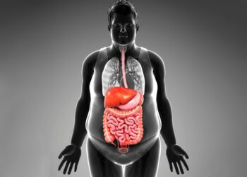 بحث جديد: لا تكمن مشكلة السمنه في زيادة الدهون ولكن فقدانها لوظائفها