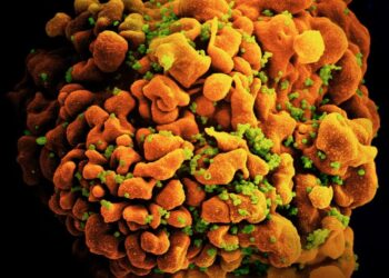 اكتشاف متغير جديد مدمّر لفيروس نقص المناعة البشرية في هولندا