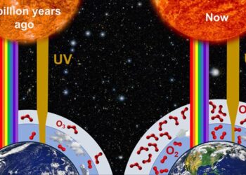 بحث جديد يكشف عن ظروف أكثر عدائية على الأرض مع تطور الحياة