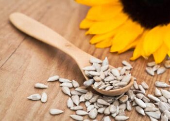 كيف يساعد ركوب البذور علي انتظام الدورة الشهرية؟