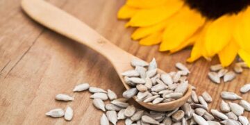 كيف يساعد ركوب البذور علي انتظام الدورة الشهرية؟