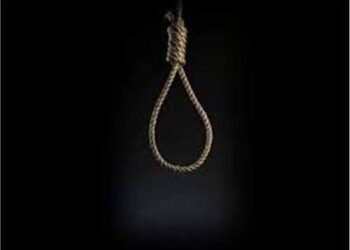 قتل عامل وأصاب آخر .. الجنايات تعاقب بائع بالإعدام شنقاً فى البساتين