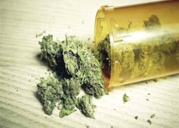 كوكتيل مخدرات .. شخصين لتصنيعهما الفودو والاستروكس في السلام