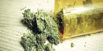 كوكتيل مخدرات .. شخصين لتصنيعهما الفودو والاستروكس في السلام