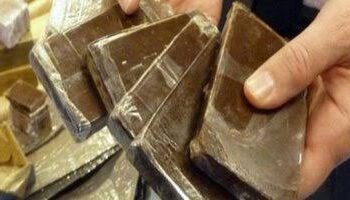 ضبط متهمين بحوزتهما مخدرات بقيمة مليون جنيه بأسيوط