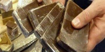 ضبط متهمين بحوزتهما مخدرات بقيمة مليون جنيه بأسيوط