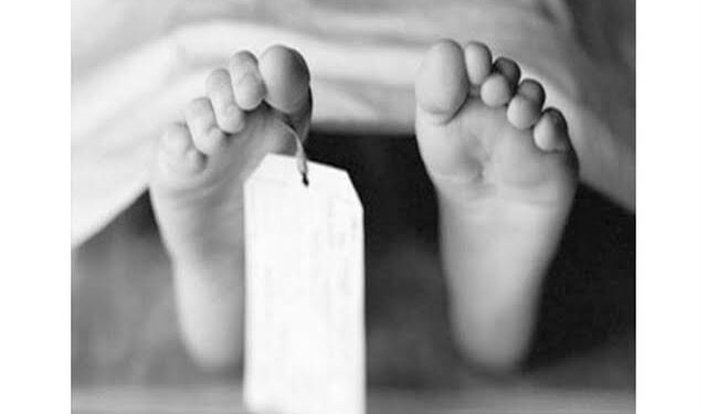 مصرع طفل صدمه سيارة مسرعة بمنشأة القناطر