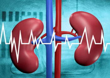 كيف تحافظ على صحة كليتيك من الأمراض؟