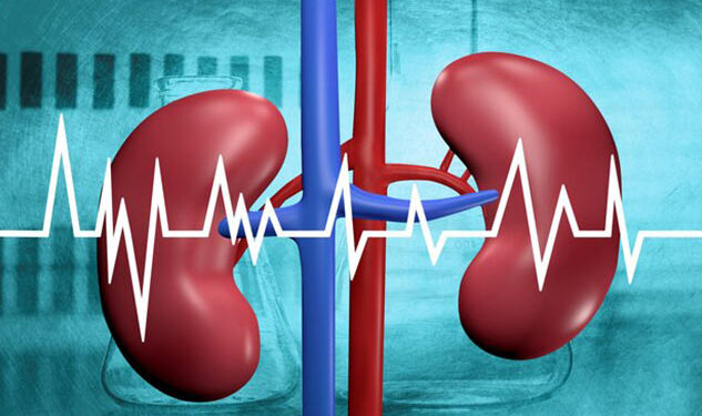 كيف تحافظ على صحة كليتيك من الأمراض؟