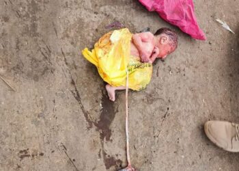 دفن جثة طفل ألقت به والدته من الطابق السادس فور ولادته بالطالبية ..صورة