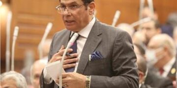 الدكتور محمد الصالحي عضو مجلس الشيوخ