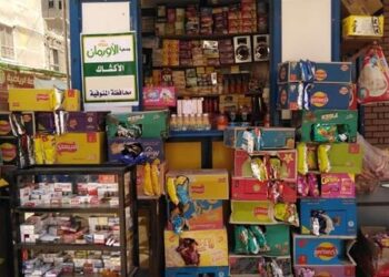 الأورمان تقدم مساعدات مالية لتمويل مشروعات صغيرة للأسر الأكثر احتياجا بالمنوفية