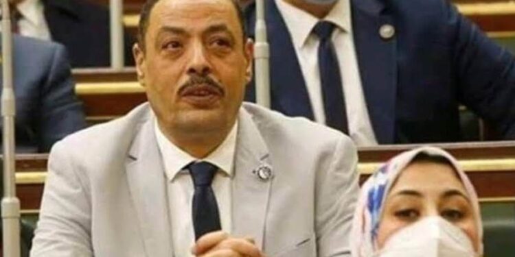 النائب أشرف أمين